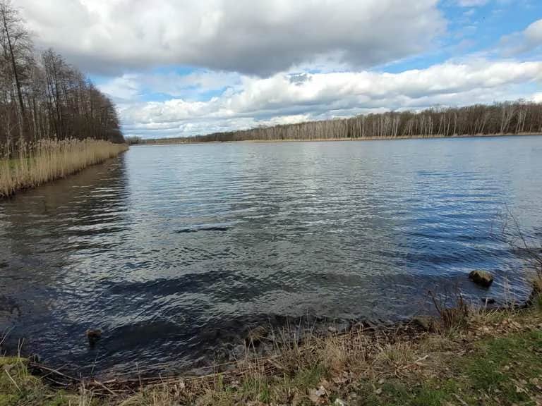 Najlepsze trasy rowerowe w Lubinie - odkryj malownicze szlaki