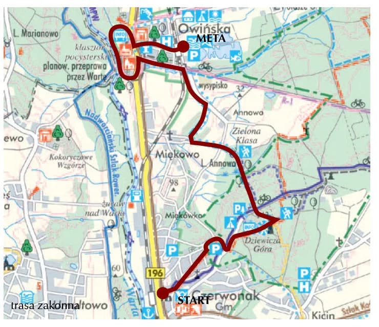 Puszcza Zielonka trasy rowerowe - najlepsze szlaki i ich trudności