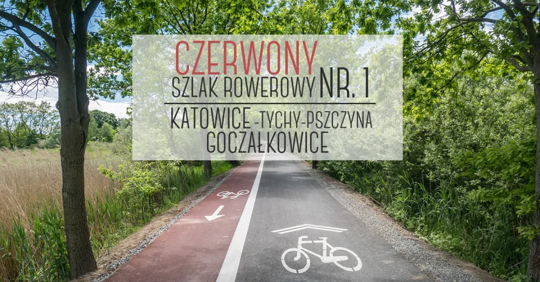 Trasa rowerowa Katowice Pszczyna – odkryj łatwą i malowniczą trasę