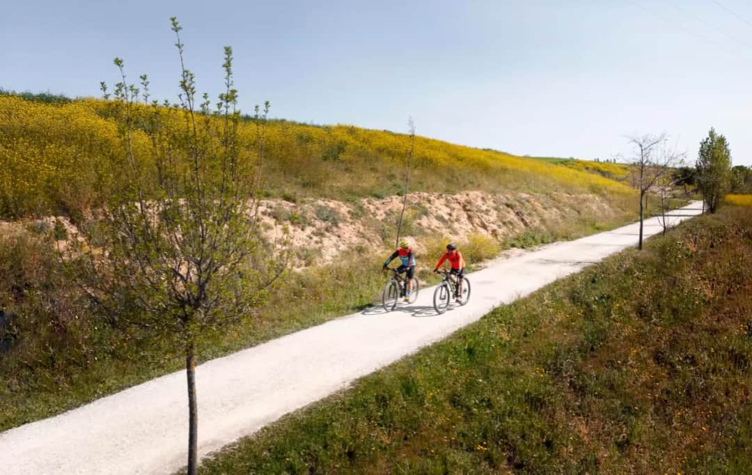 Najpiękniejsza trasa rowerowa w Polsce – odkryj ukryte skarby natury