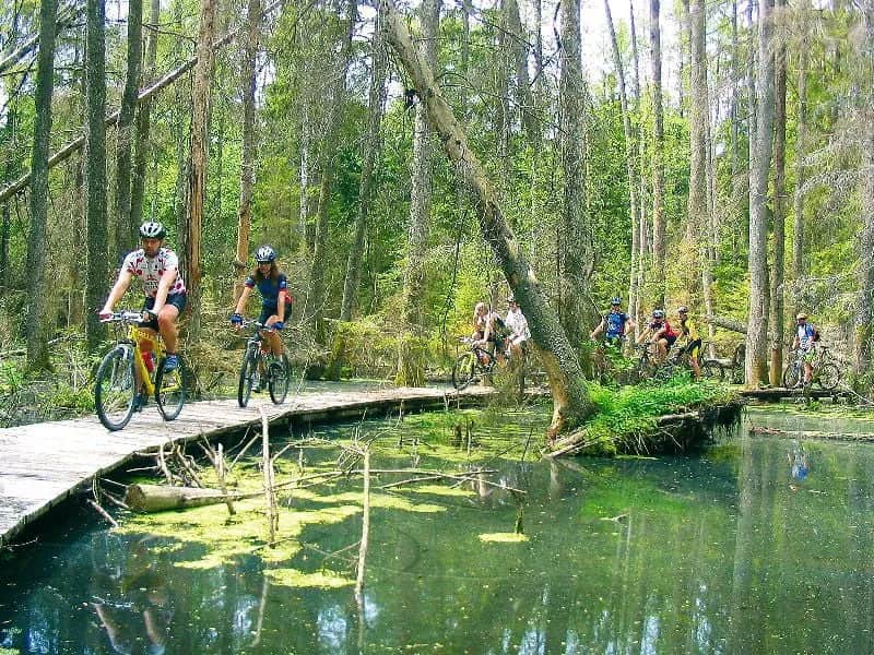 Trasy rowerowe w Biebrzańskim Parku Narodowym - odkryj piękno natury