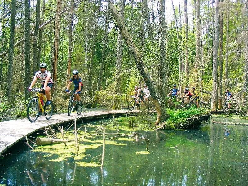 Trasy rowerowe w Biebrzańskim Parku Narodowym - odkryj piękno natury