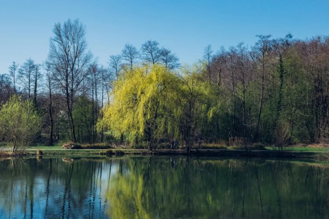 Najlepsze trasy rowerowe w Charzykowy - odkryj ukryte skarby